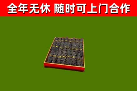 泰来县回收海参